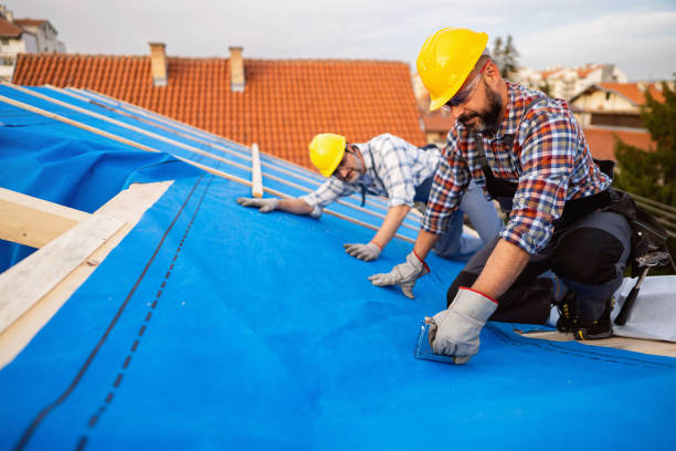 Best Metal Roofing Contractor  in Wabash, IN